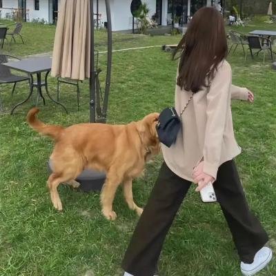 双子杀手